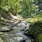 Am Apfelbaum, Ein Zwischen Rhein Und Mosel Сasa de vacaciones