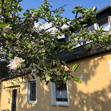 Tatil Evi Am Apfelbaum, Ein Zwischen Rhein Und Mosel *