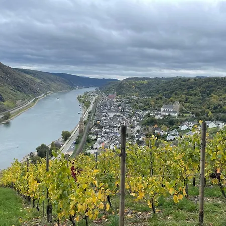 Am Apfelbaum, Ein Zwischen Rhein Und Mosel