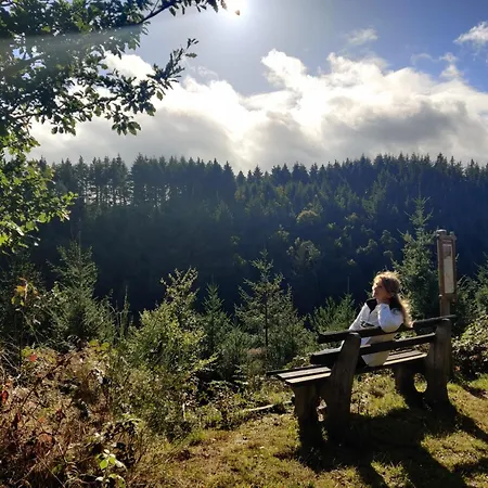 Am Apfelbaum, Ein Zwischen Rhein Und Mosel 別荘 カステラウン