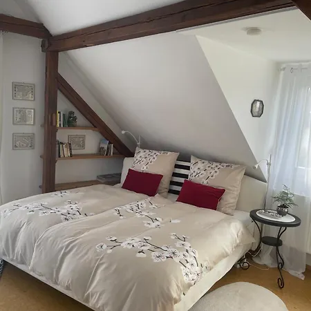 Am Apfelbaum, Ein Zwischen Rhein Und Mosel Tatil Evi Kastellaun