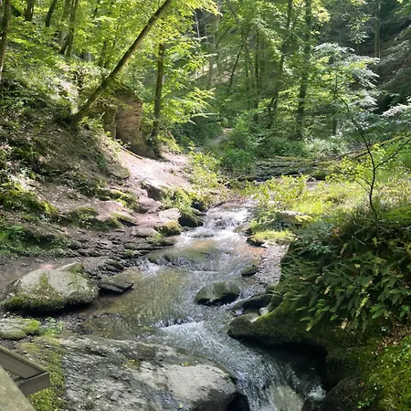 Am Apfelbaum, Ein Zwischen Rhein Und Mosel Tatil Evi