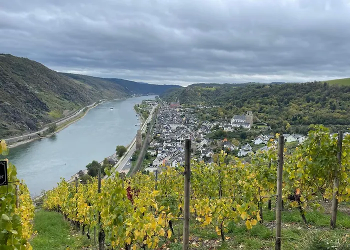 Am Apfelbaum, Ein Zwischen Rhein Und Mosel