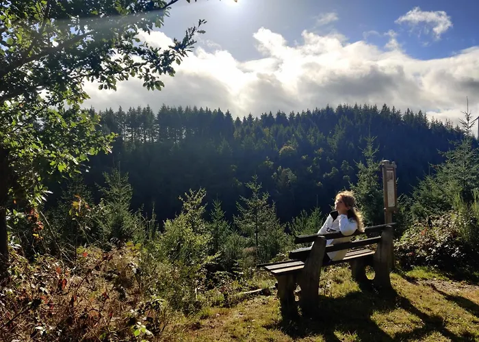 Am Apfelbaum, Ein Zwischen Rhein Und Mosel 別荘 カステラウン
