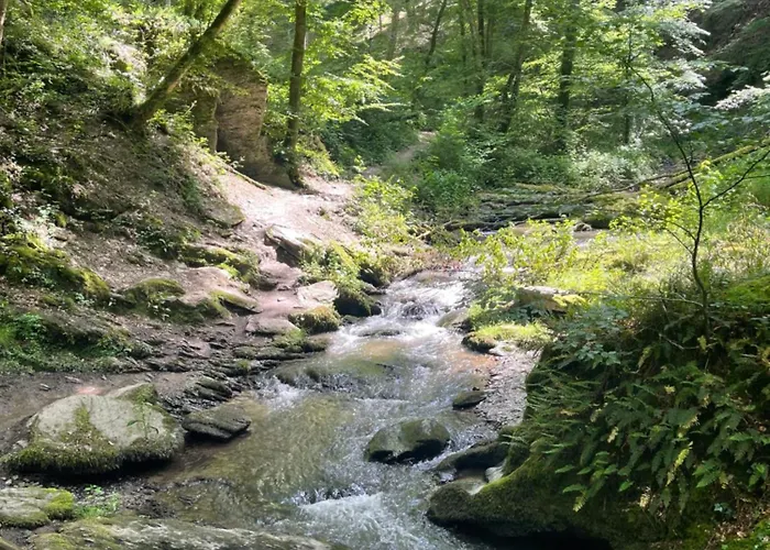 Am Apfelbaum, Ein Zwischen Rhein Und Mosel Casa de Férias
